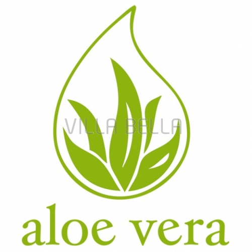Aloe Vera Kissen — 50 x 70 cm, 65 x 65cm, 65 x 100cm